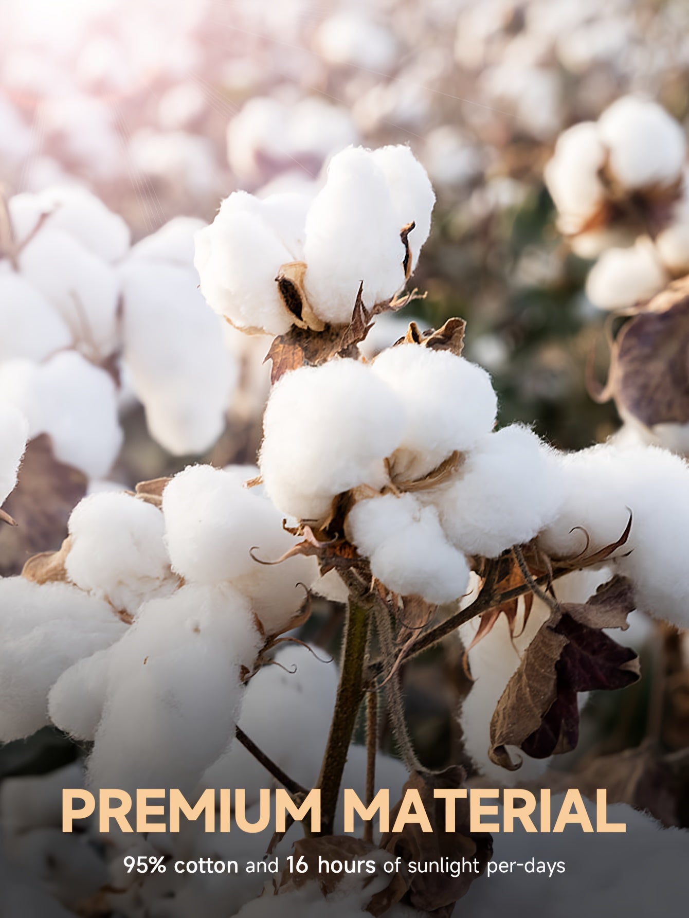 6 Pack Women's Underwear Soft Cotton Knickers Panties Breathable Comfortable Hipster Panties